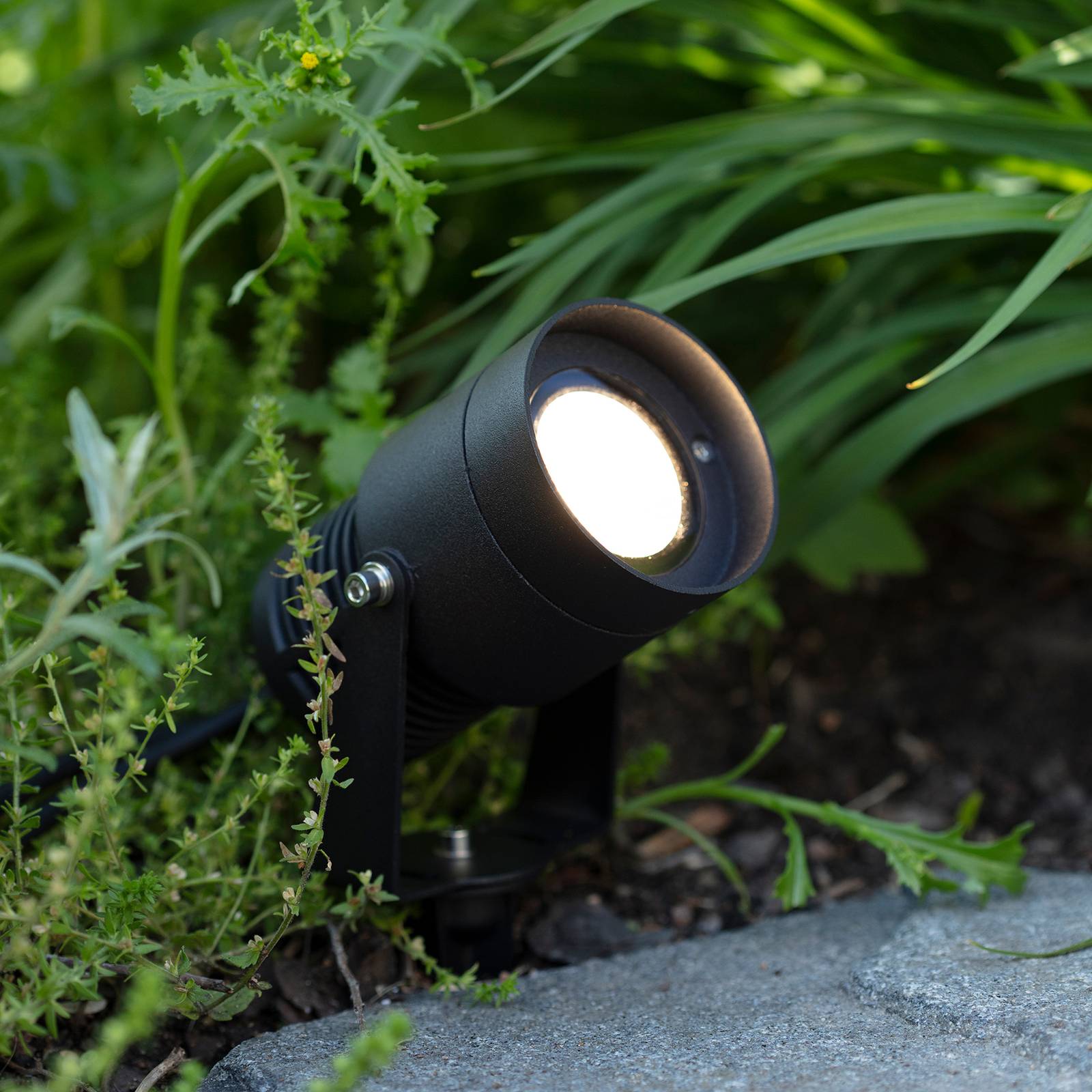 Garden 24 LED-Spotlight, schwarz, 15 Watt von Markslöjd
