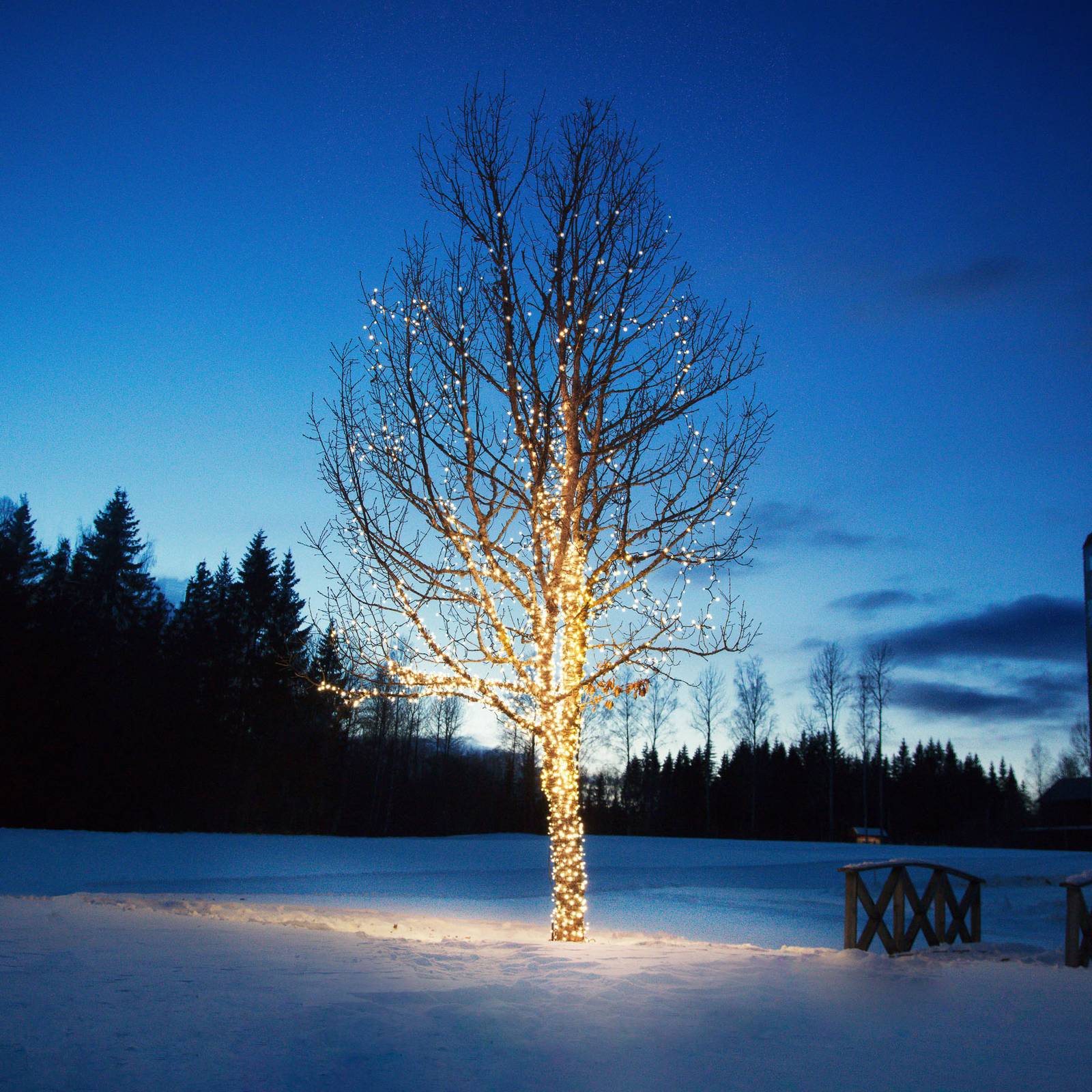 Lichterkette Chrissline Extra 50 LEDs 2.850K von Markslöjd