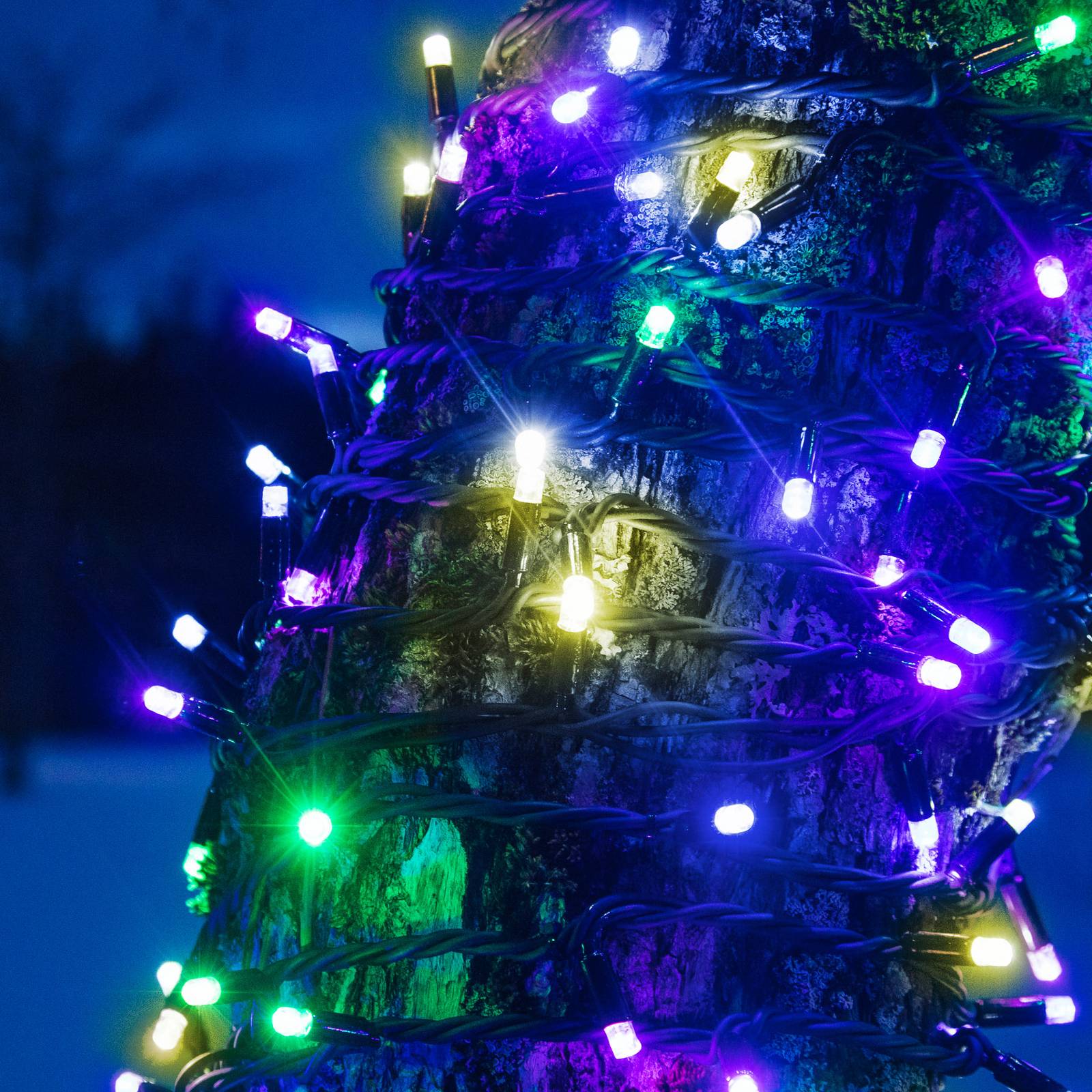 Lichterkette Chrissline Extra 50 LEDs multicolour von Markslöjd