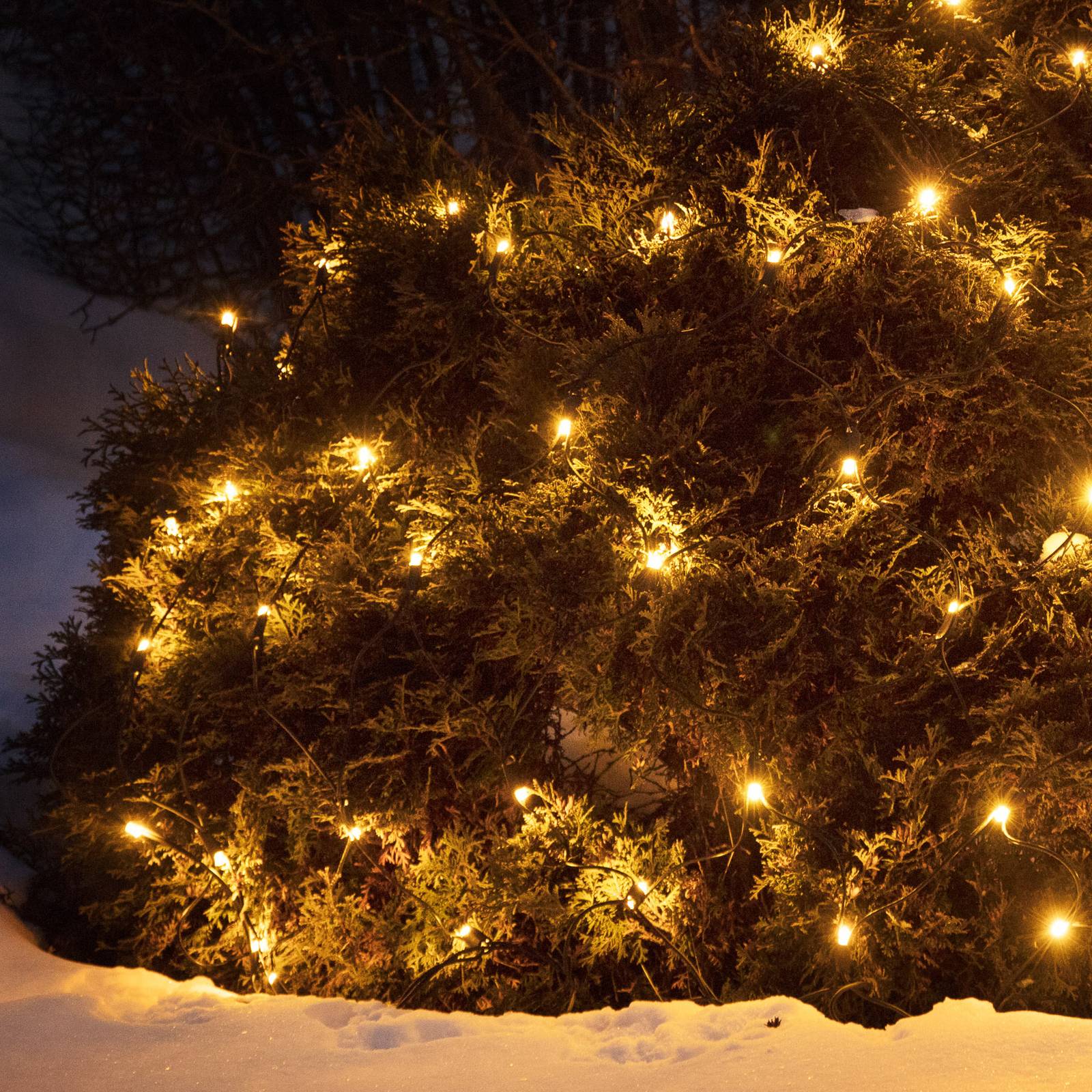 Lichternetz Chrissline Extra 100 LEDs 2.300K Lichternetz Chrissline Extra 100 LEDs 2.300K von Markslöjd