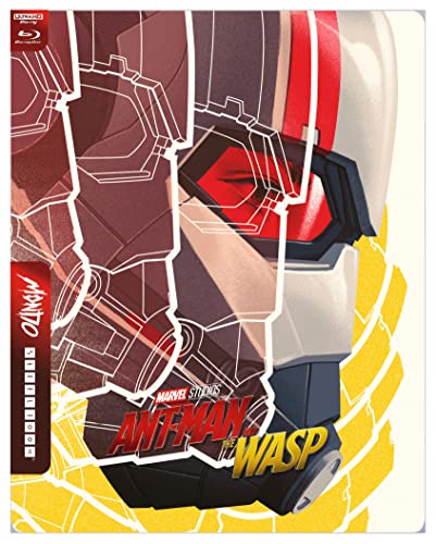 Ant-man 2 : ant-man et la guêpe 4k ultra hd [Blu-ray] [FR Import] von Marvel