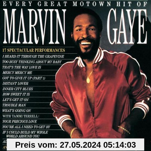 Every Great Motown Hit of von Marvin Gaye