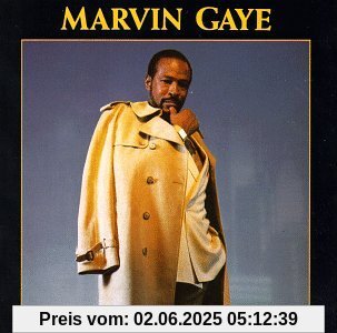 Last Concert Tour von Marvin Gaye