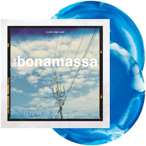 A New Day Now - 20th Anniversary [Vinyl LP] von Mascot Label Group
