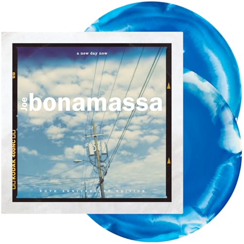 A New Day Now - 20th Anniversary [Vinyl LP] von MASCOT