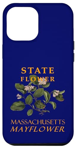 Blume aus dem Massachusetts Territory Die Mayflower Hülle für iPhone 12 Pro Max Blume aus dem Massachusetts Territory Die Mayflower Hülle für iPhone 12 Pro Max von Massachusetts Territory Symbols Gifts Tees taiche