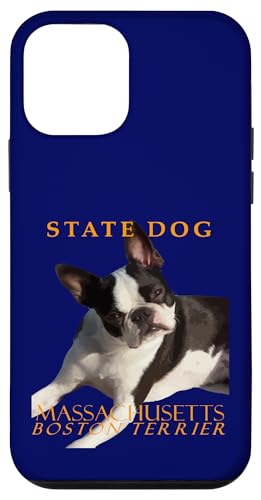 Hund aus Massachusetts Territory The Boston Terrier im Vektorstil Hülle für iPhone 12 mini Hund aus Massachusetts Territory The Boston Terrier im Vektorstil Hülle für iPhone 12 mini von Massachusetts Territory Symbols Gifts Tees taiche