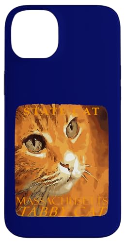 Katze aus dem Massachusetts Territory Die orange Tabby-Katze Hülle für iPhone 14 Plus Katze aus dem Massachusetts Territory Die orange Tabby-Katze Hülle für iPhone 14 Plus von Massachusetts Territory Symbols Gifts Tees taiche