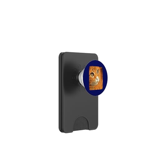Katze aus dem Massachusetts Territory Die orange Tabby-Katze PopSockets PopWallet für MagSafe Katze aus dem Massachusetts Territory Die orange Tabby-Katze PopSockets PopWallet für MagSafe von Massachusetts Territory Symbols Gifts Tees taiche