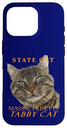 Massachusetts Territory Cat Die bezaubernde Tabby-Katze Hülle für iPhone 16 Pro von Massachusetts Territory Symbols Gifts Tees taiche