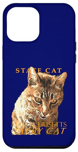 Massachusetts Territory Cat Die süße Tabby-Katze Hülle für iPhone 12 Pro Max Massachusetts Territory Cat Die süße Tabby-Katze Hülle für iPhone 12 Pro Max von Massachusetts Territory Symbols Gifts Tees taiche
