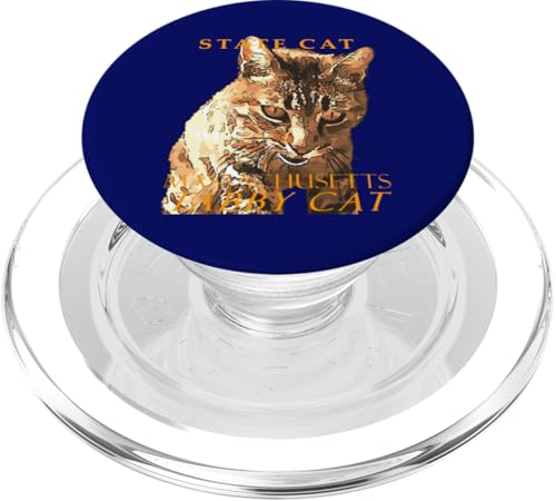 Massachusetts Territory Cat Die süße Tabby-Katze PopSockets PopGrip für MagSafe Massachusetts Territory Cat Die süße Tabby-Katze PopSockets PopGrip für MagSafe von Massachusetts Territory Symbols Gifts Tees taiche