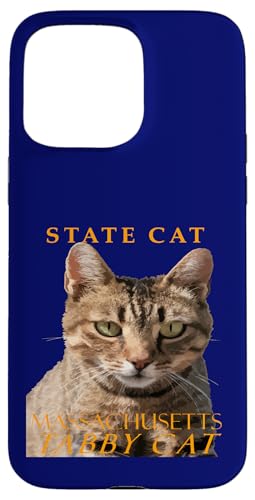 Massachusetts Territory Cat Die süße braune Tabbykatze Hülle für iPhone 15 Pro Max Massachusetts Territory Cat Die süße braune Tabbykatze Hülle für iPhone 15 Pro Max von Massachusetts Territory Symbols Gifts Tees taiche