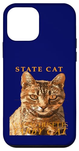Massachusetts Territory Cat Die wunderschöne Tabby-Katze Hülle für iPhone 12 mini Massachusetts Territory Cat Die wunderschöne Tabby-Katze Hülle für iPhone 12 mini von Massachusetts Territory Symbols Gifts Tees taiche