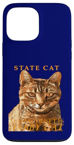 Massachusetts Territory Cat Die wunderschöne Tabby-Katze Hülle für iPhone 13 Pro Max Massachusetts Territory Cat Die wunderschöne Tabby-Katze Hülle für iPhone 13 Pro Max von Massachusetts Territory Symbols Gifts Tees taiche