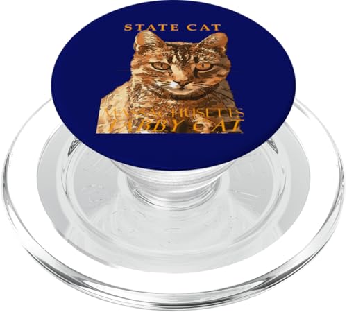 Massachusetts Territory Cat Die wunderschöne Tabby-Katze PopSockets PopGrip für MagSafe Massachusetts Territory Cat Die wunderschöne Tabby-Katze PopSockets PopGrip für MagSafe von Massachusetts Territory Symbols Gifts Tees taiche
