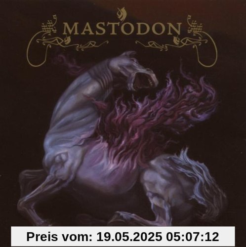 Remission Remission von Mastodon
