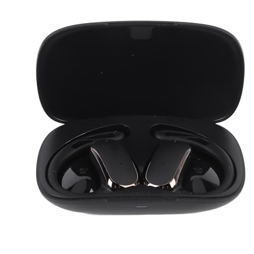 Masyrt Bluetooth -Übersetzung Earphone, Echtzeit -Übersetzer -Ohrhörer mit 74 Sprachen, Reisegeschäftsverhandlungen, 70 Akzente, Offline -Übersetzung (Schwarz) von Masyrt