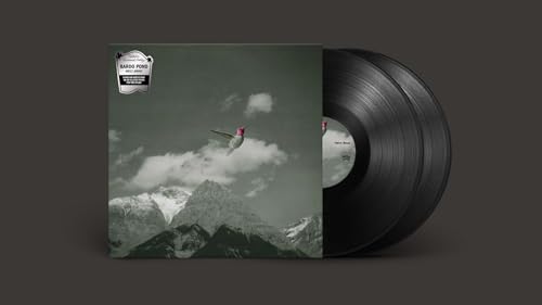 Melt Away [Vinyl LP] von Matador
