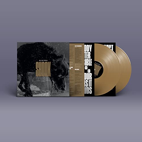 Shook - Strictly Limited Gold Coloured Vinyl Edition [Vinyl LP] von Matador/Beggars Group / Indigo
