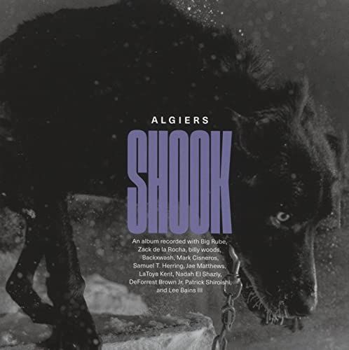 Shook [Vinyl LP] von Matador