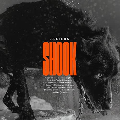 Shook Shook von Matador Records