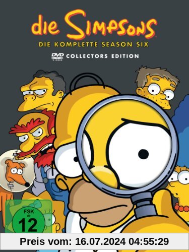 Die Simpsons - Die komplette Season 6 (Collector's Edition, 4 DVDs) von Matt Groening