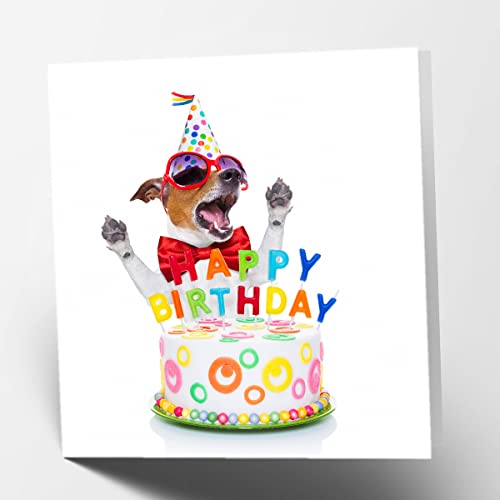 Geburtstagskarte mit Hundemotiv, blanko von Maturi