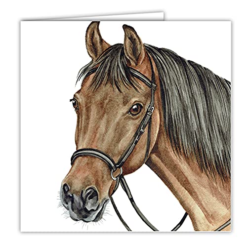 Maturi Blanko-Grußkarte mit Aquarellbild - Braunes Pferd von Maturi