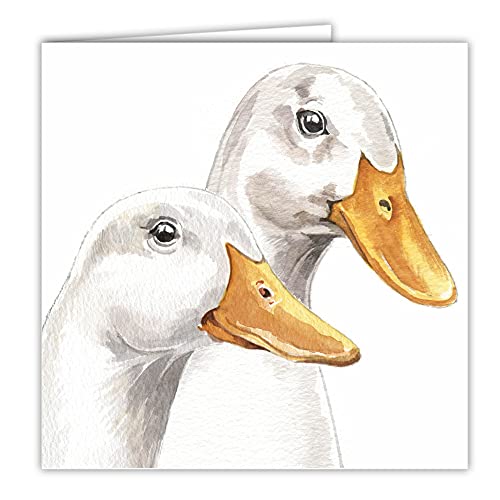 Maturi Blanko-Grußkarte mit Aquarellbild - Enten von Maturi
