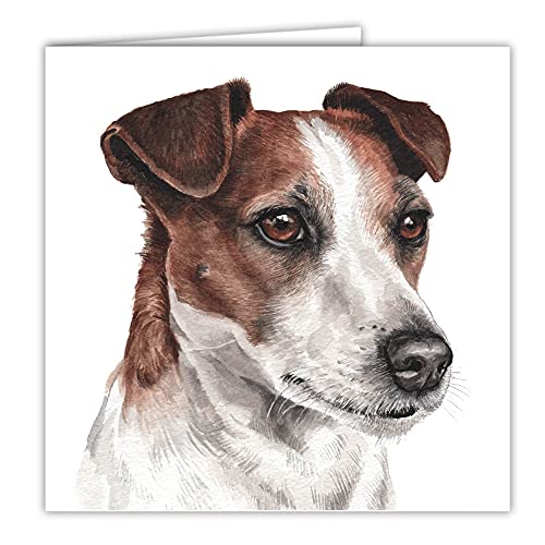 Maturi Blanko-Grußkarte mit Aquarellbild - Jack-Russell-Hund von Maturi