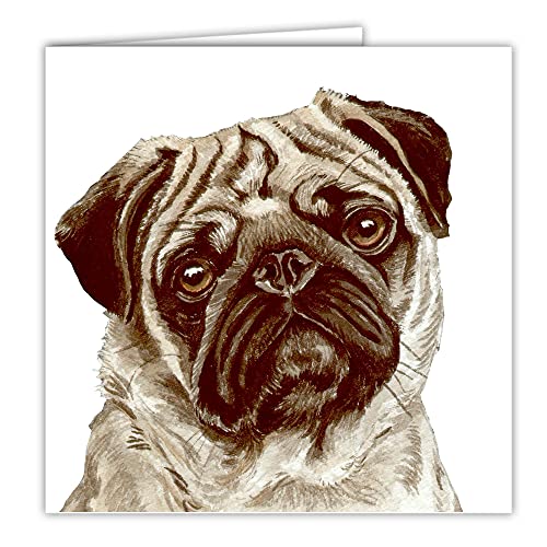Maturi Blanko-Grußkarte mit Aquarellbild - Mops Hund von Maturi