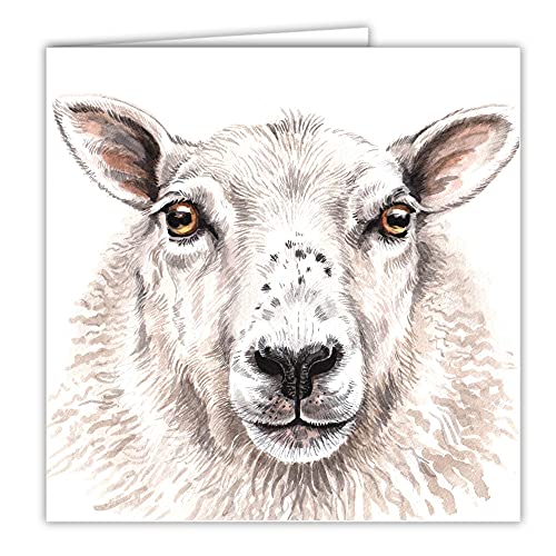Maturi Blanko-Grußkarte mit Aquarellbild - Schaf von Maturi