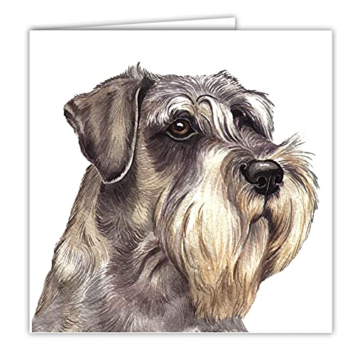 Maturi Blanko-Grußkarte mit Aquarellbild - Schnauzer-Hund von Maturi
