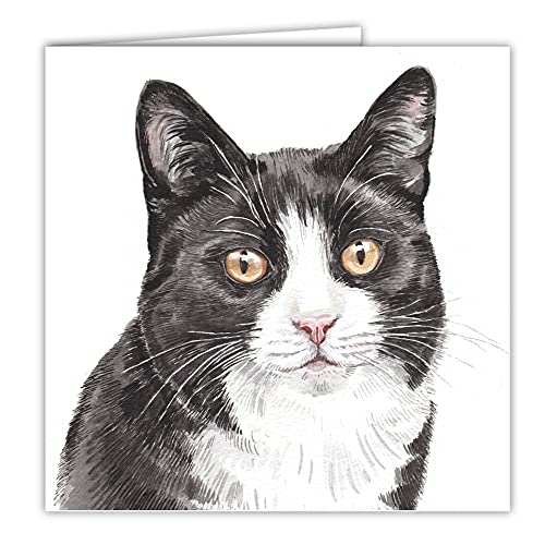 Maturi Blanko-Grußkarte mit Aquarellbild - Schwarz-weiße Katze von Maturi