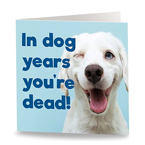 Maturi Geburtstagskarte, Motiv In Dog Years..., Innenseite blanko von Maturi