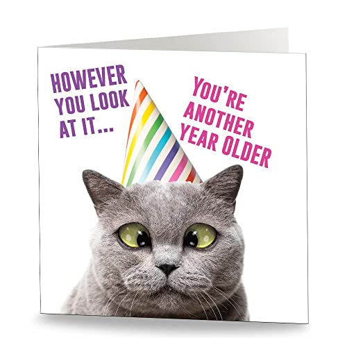 Maturi Geburtstagskarte, Motiv: alte Katze, innen unbeschriftet von Maturi