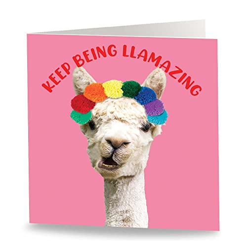 Maturi Lustige Geburtstagskarte mit Aufschrift You're Llamazing – innen unbeschriftet von Maturi