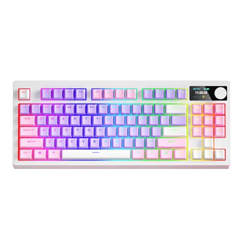 RGB Mechanische Tastatur Wireless Tastatur 87 Tasten DREI Modus -Konnektivität 18 Beleuchtungseffekte Hot Swap High -Kapazität Batterie DIY Software Support PC Gaming -Typing von Matybobe