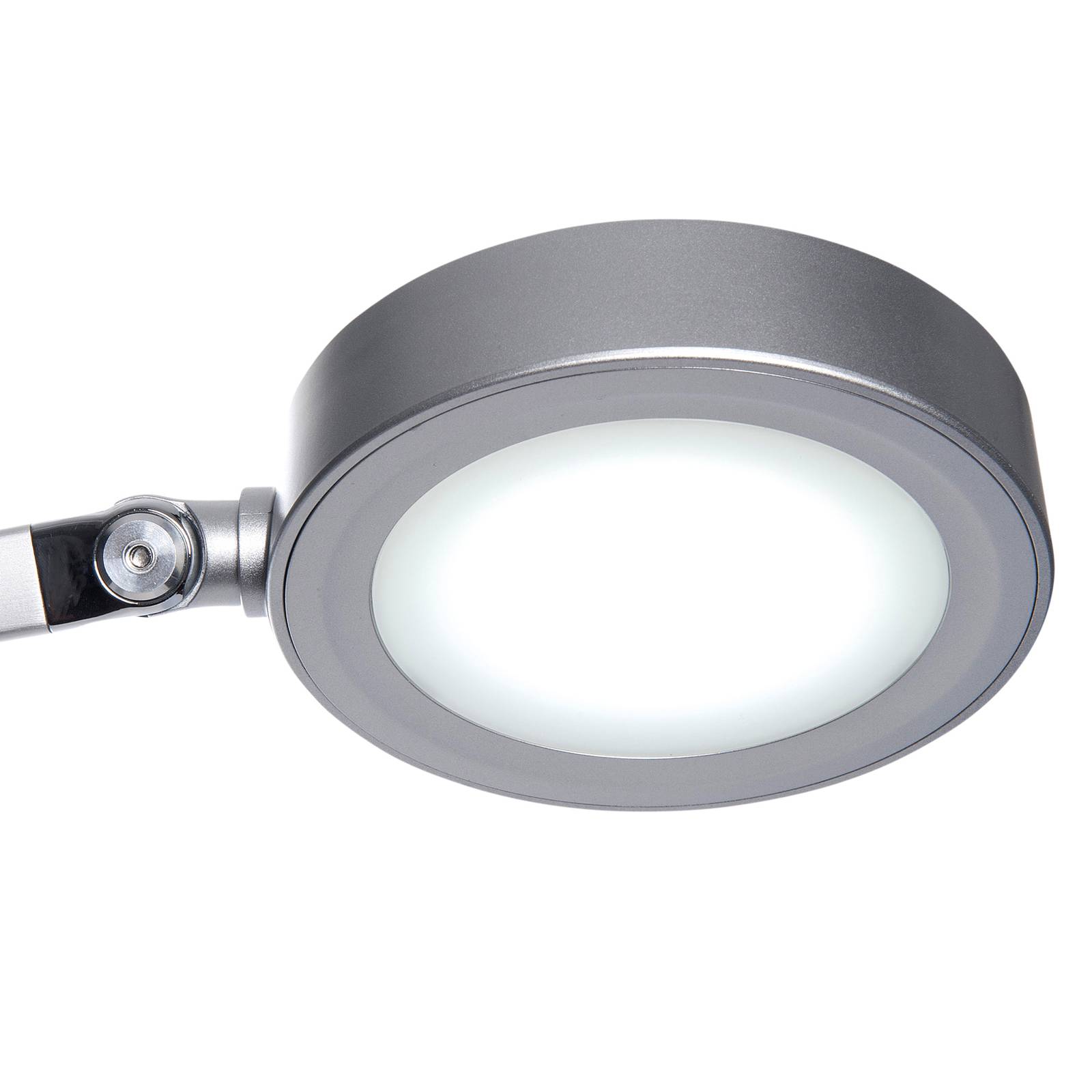 LED-Tischleuchte MAULgrace, colour vario, dimmbar, silber von Maul