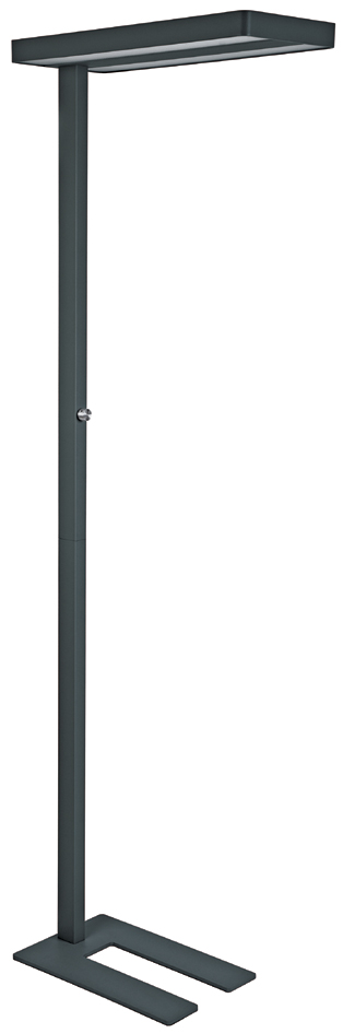 MAUL LED-Stehleuchte MAULjaval, dimmbar, schwarz MAUL LED-Stehleuchte MAULjaval, dimmbar, schwarz von Maul