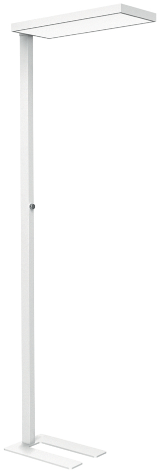 MAUL LED-Stehleuchte MAULjura, dimmbar, weiß MAUL LED-Stehleuchte MAULjura, dimmbar, weiß von Maul