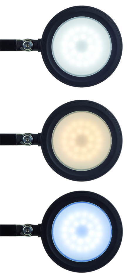 MAUL LED-Tischleuchte MAULgrace colour vario, dimmbar von Maul