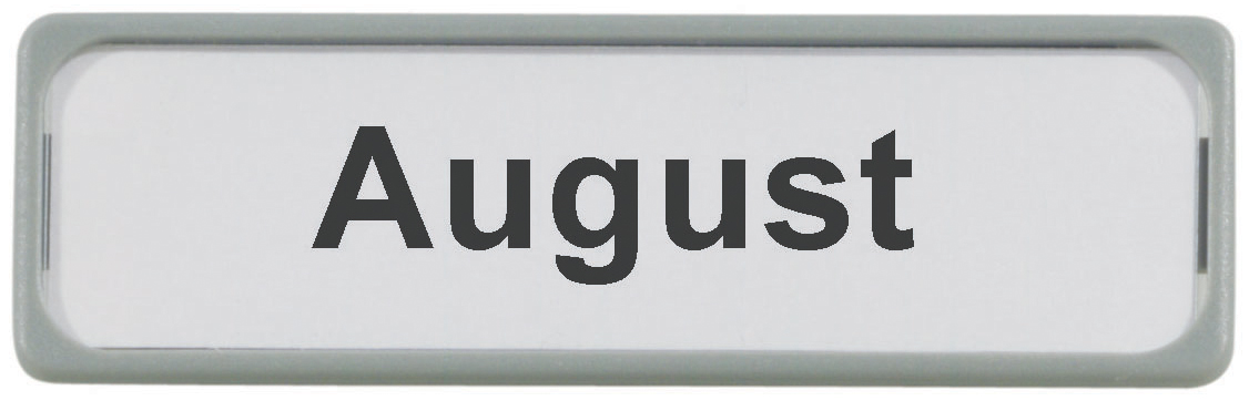MAUL Magnetschild, Kunststoff, grau, Maße: 80 x 25 mm von Maul
