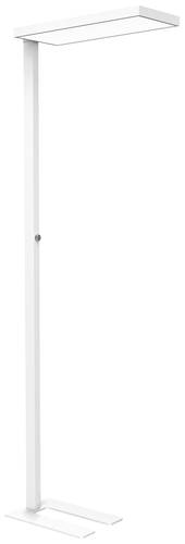 Maul 8257102 LED-Stehlampe LED Lichtquelle durch Elektrofachkraft austauschbar 62W Weiß Maul 8257102 LED-Stehlampe LED Lichtquelle durch Elektrofachkraft austauschbar 62W Weiß von Maul