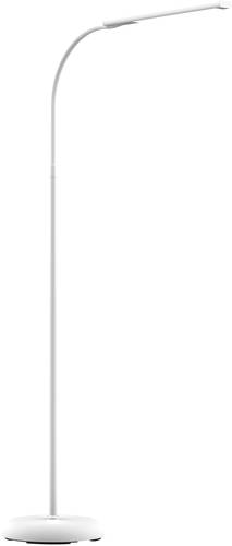 Maul MAULpirro 8234802 LED-Stehlampe 7W Weiß Maul MAULpirro 8234802 LED-Stehlampe 7W Weiß von Maul