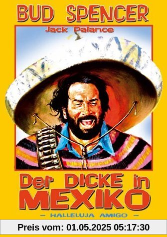 Der Dicke in Mexico von Maurizio Lucidi