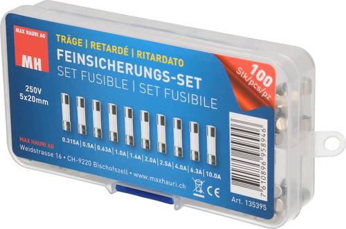 Max Hauri AG 135395 Feinsicherung-Sortiment (Ø x L) 5mm x 20mm Träge -T- Inhalt 100St. von Max Hauri AG