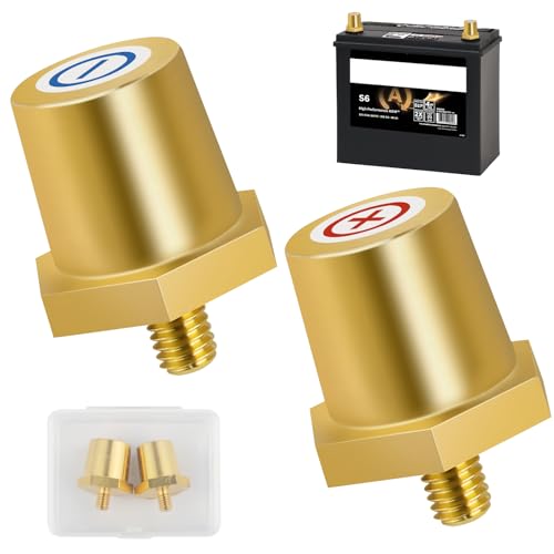 Messing Batteriepol Adapter Set, Gewinde-Anschlüsse, robust und korrosionsbeständig, Schnellmontage Batterieklemmen, Batteriepol-Adapter für Lithium-Autobatterien(1 Paar) (AG:M6) von Maxmoc