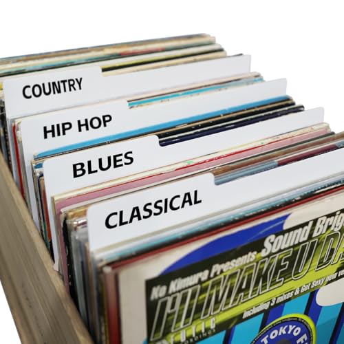 30,5 cm große Schallplatten-Trennblätter, weiß, doppelseitig, Kunststoff, Kategorie-Tab, DIY, Vinyl, LP, Album, Trennblätter für Vinyl, CDs, Alben, Kisten und DVD-Organisation (10) von MayRecords